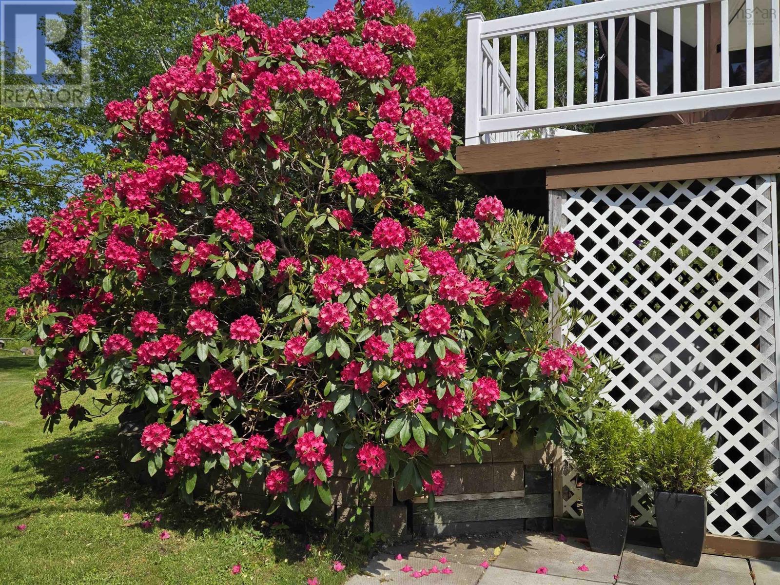 8979 Peggys Cove Road, Indian Harbour, Nova Scotia  B3Z 3P2 - Photo 39 - 202524676