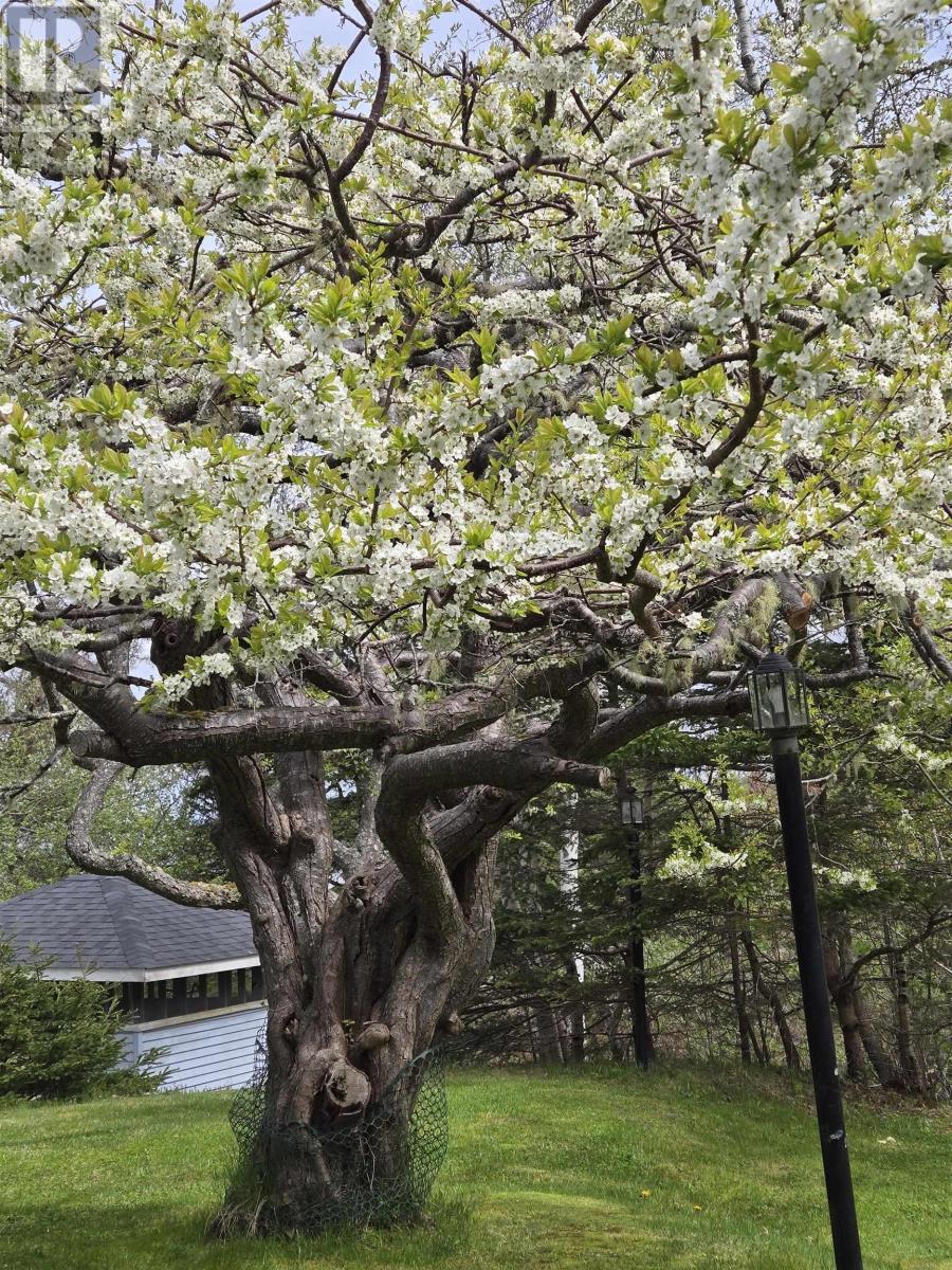 8979 Peggys Cove Road, Indian Harbour, Nova Scotia  B3Z 3P2 - Photo 42 - 202524676