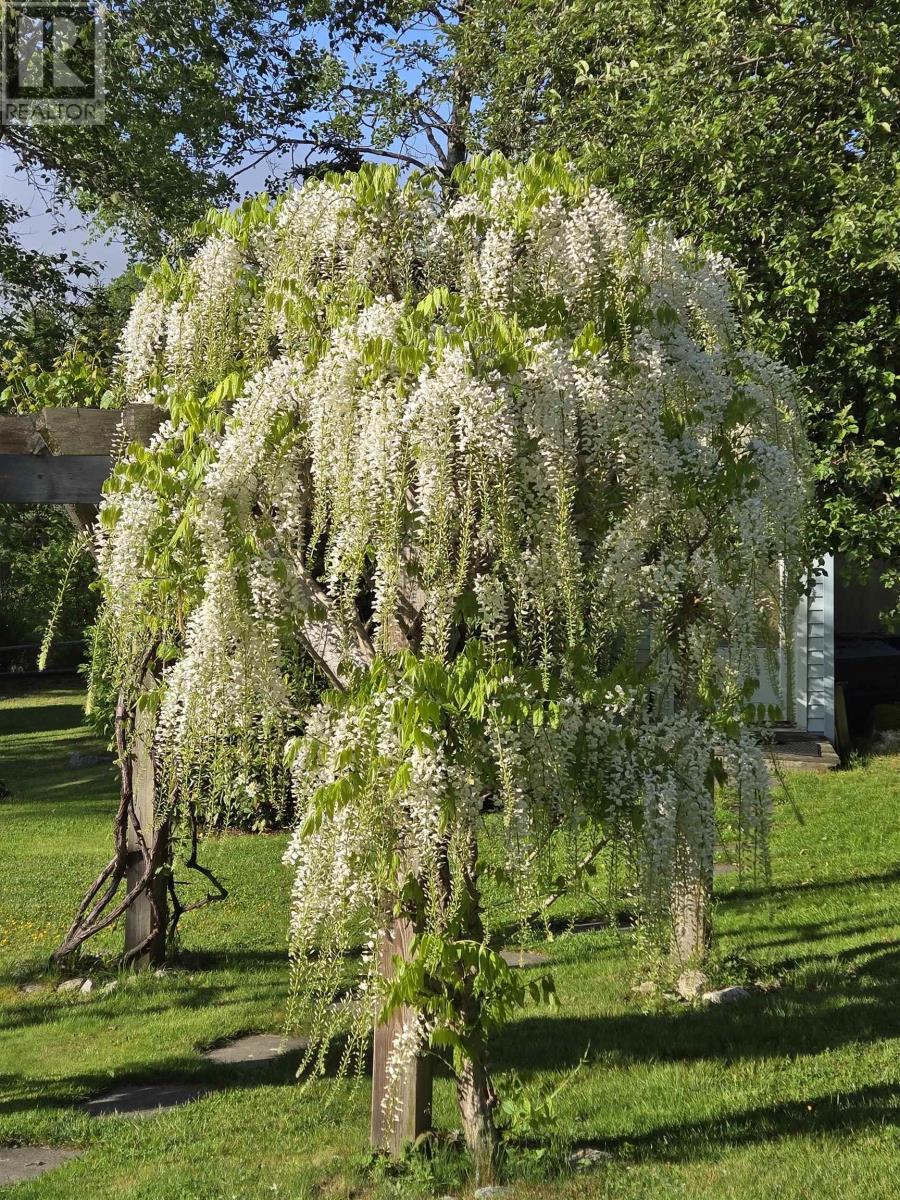 8979 Peggys Cove Road, Indian Harbour, Nova Scotia  B3Z 3P2 - Photo 35 - 202524676