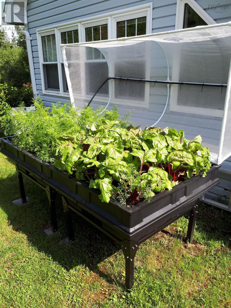 8979 Peggys Cove Road, Indian Harbour, Nova Scotia  B3Z 3P2 - Photo 41 - 202524676