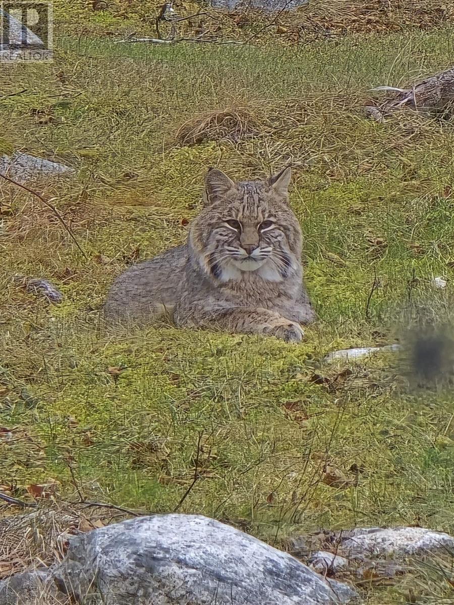 8979 Peggys Cove Road, Indian Harbour, Nova Scotia  B3Z 3P2 - Photo 45 - 202524676