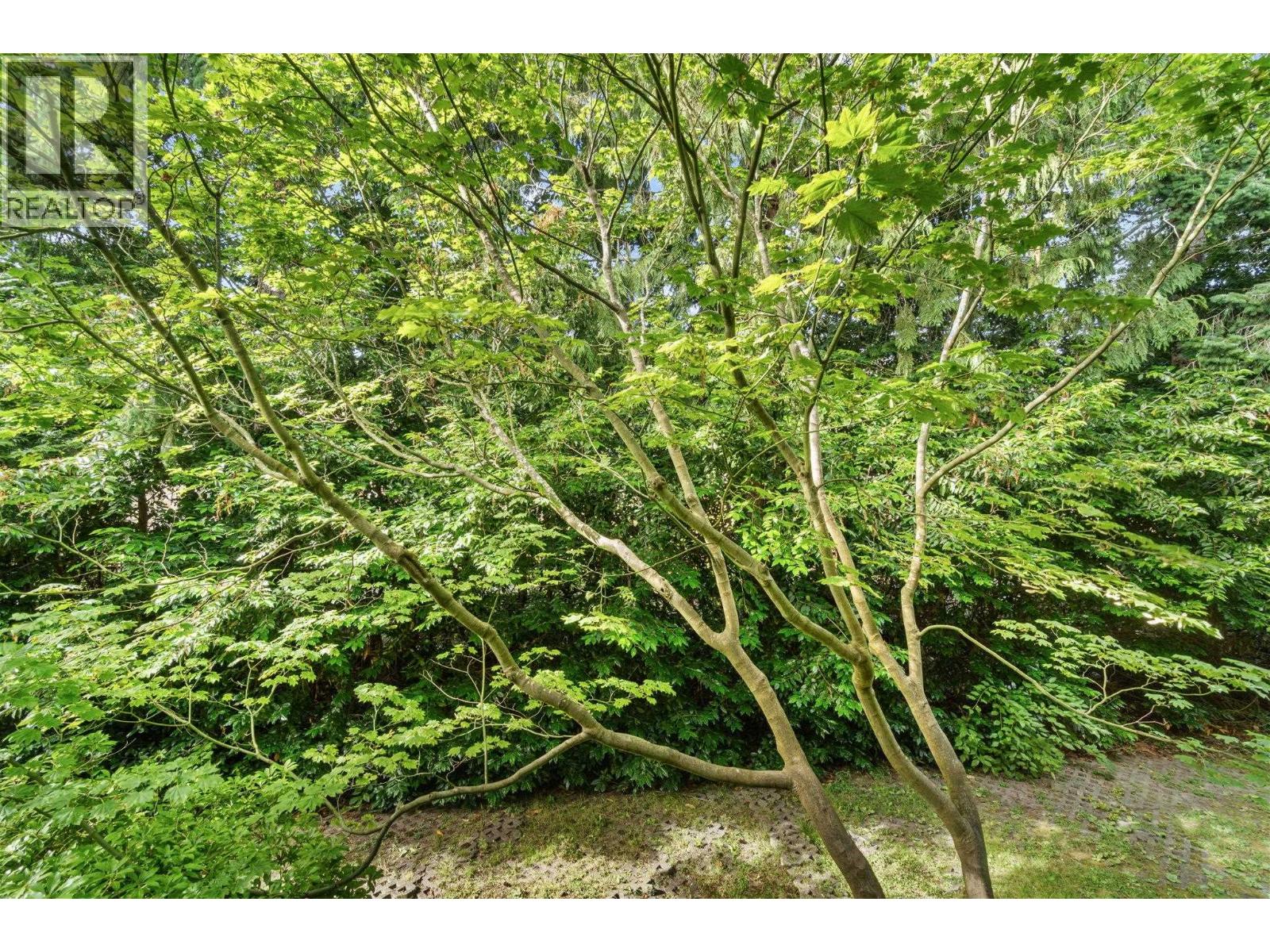 118 7431 Minoru Boulevard, Richmond, British Columbia  V6Y 1Z3 - Photo 22 - R3049448