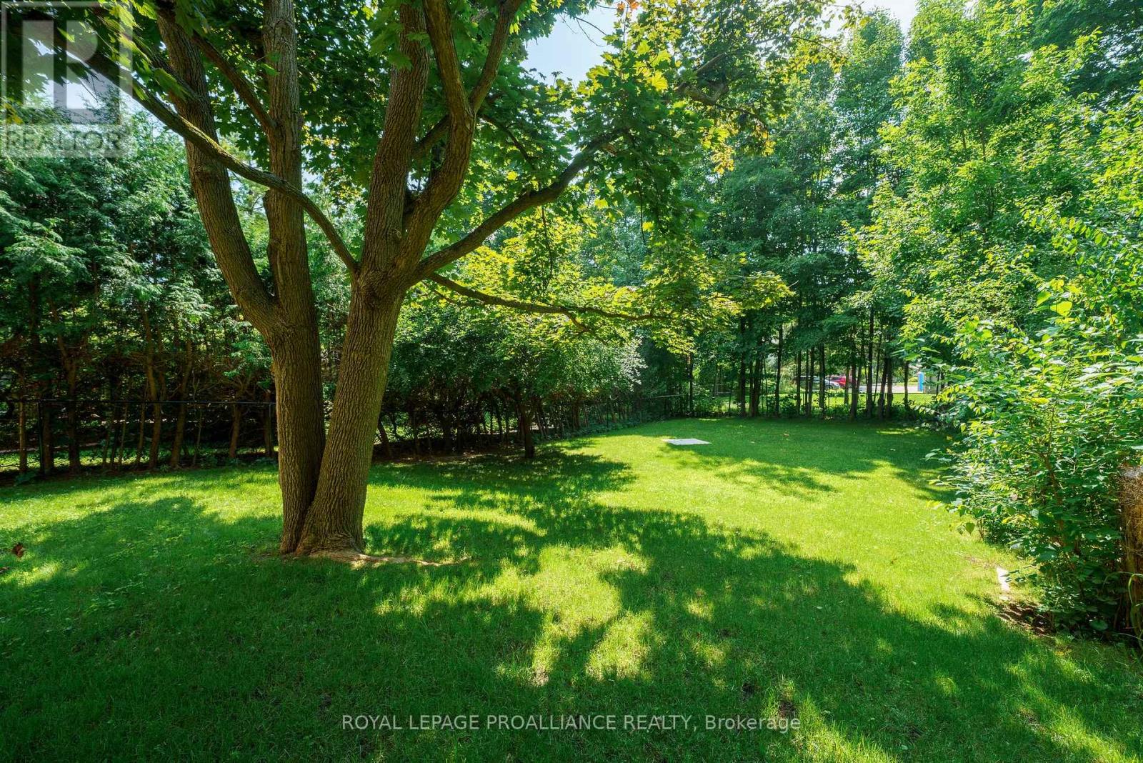 190 Macdonald Avenue, Belleville, Ontario K8N 3Y3 - Photo 29 - X12507122