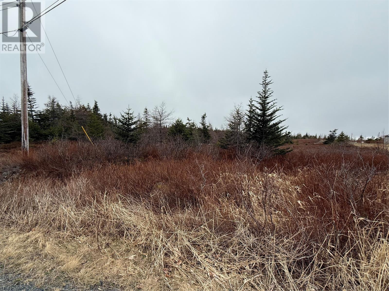 163 Ridge Road, Spaniards Bay, Newfoundland & Labrador  A0A 3X0 - Photo 2 - 1292289