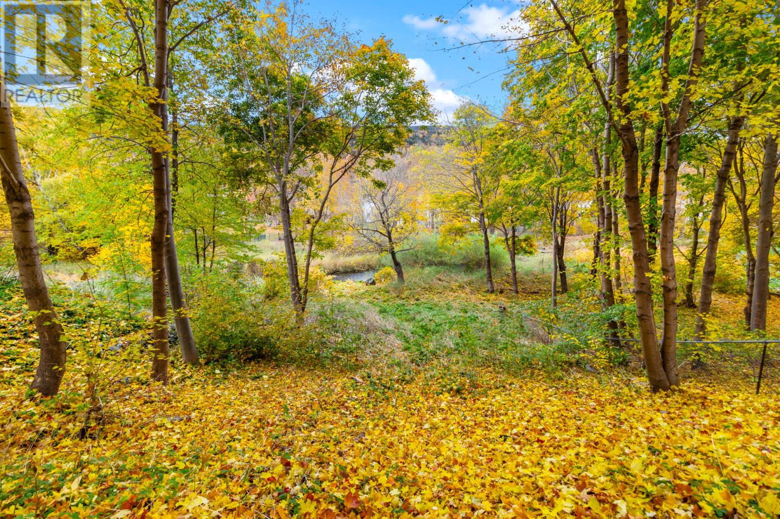 149 Waterford Bridge Road, St. John's, Newfoundland & Labrador  A1E 1C7 - Photo 30 - 1292287