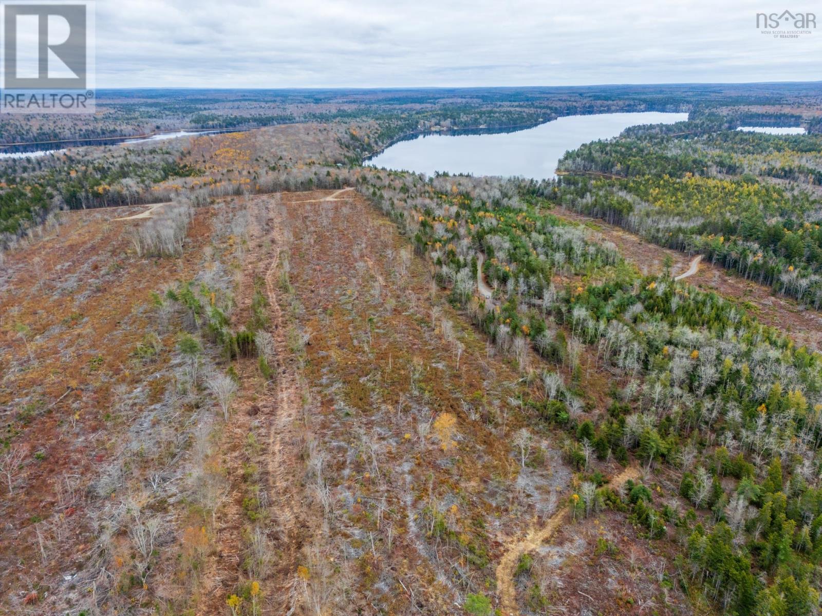 Lot 10 Perfect Road, Bangor, Nova Scotia  B0W 2L0 - Photo 10 - 202527220