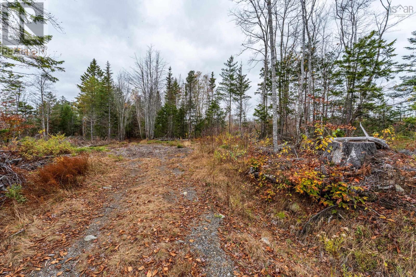 Lot 10 Perfect Road, Bangor, Nova Scotia  B0W 2L0 - Photo 3 - 202527220