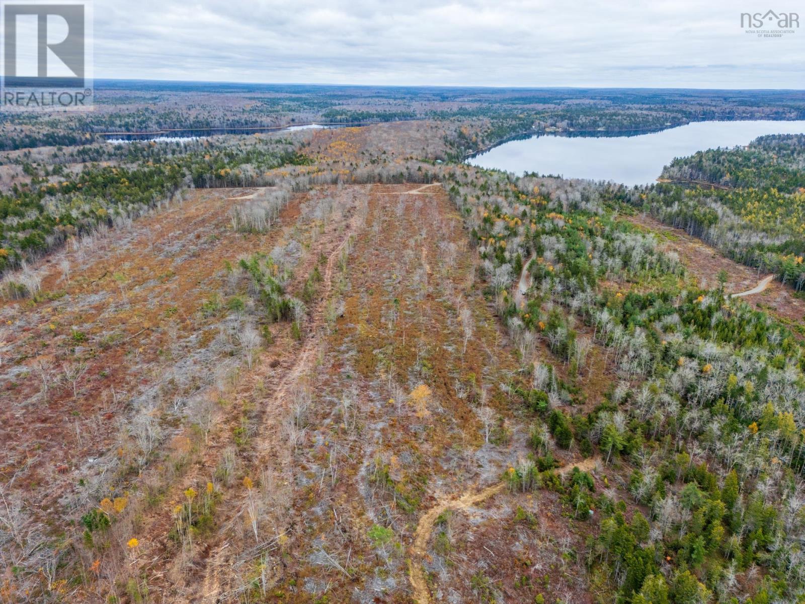 Lot 10 Perfect Road, Bangor, Nova Scotia  B0W 2L0 - Photo 9 - 202527220
