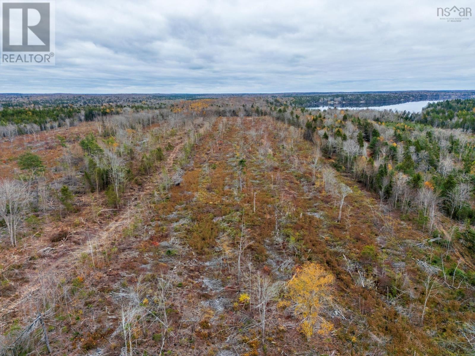 Lot 10 Perfect Road, Bangor, Nova Scotia  B0W 2L0 - Photo 11 - 202527220