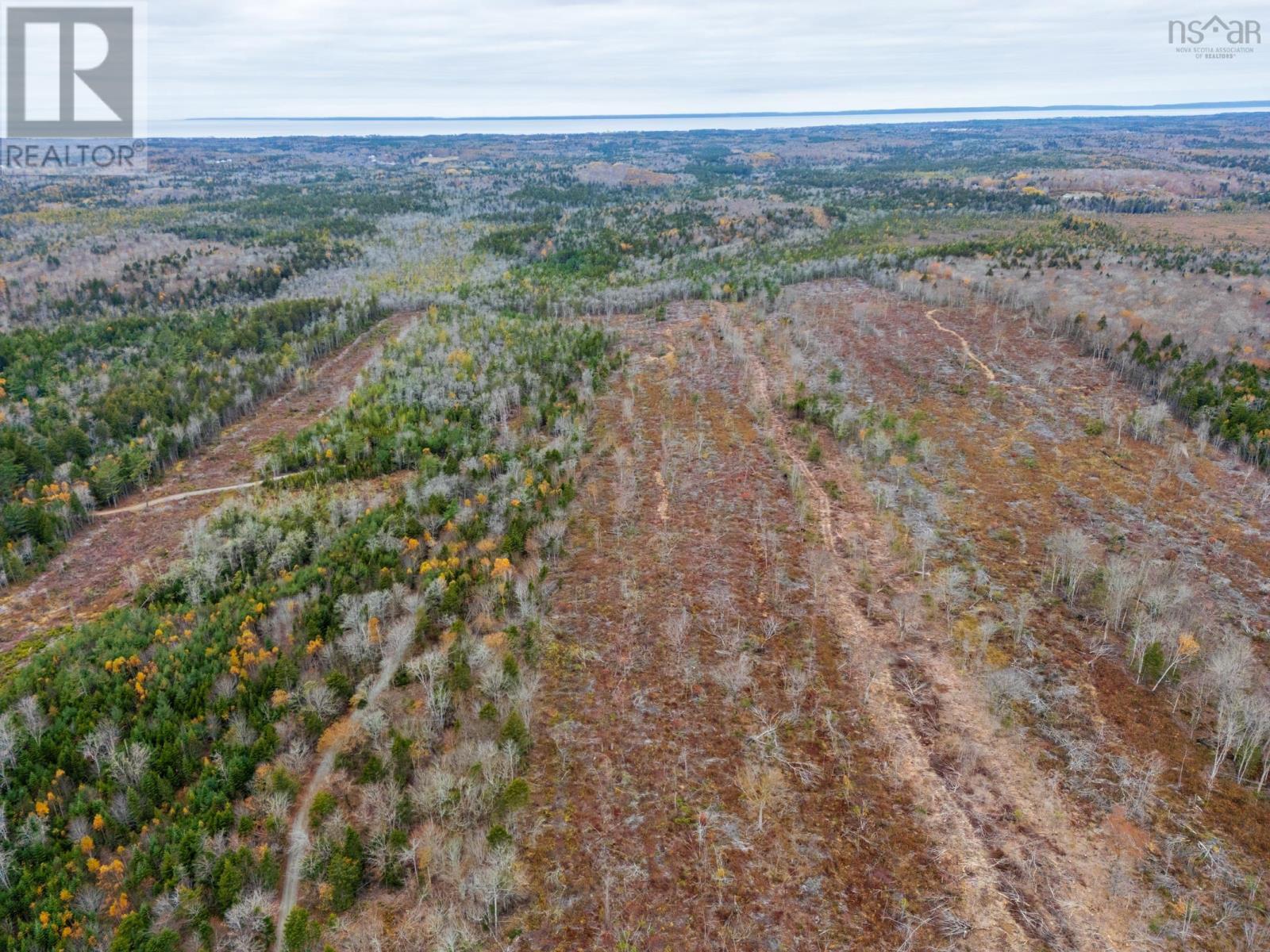 Lot 10 Perfect Road, Bangor, Nova Scotia  B0W 2L0 - Photo 6 - 202527220
