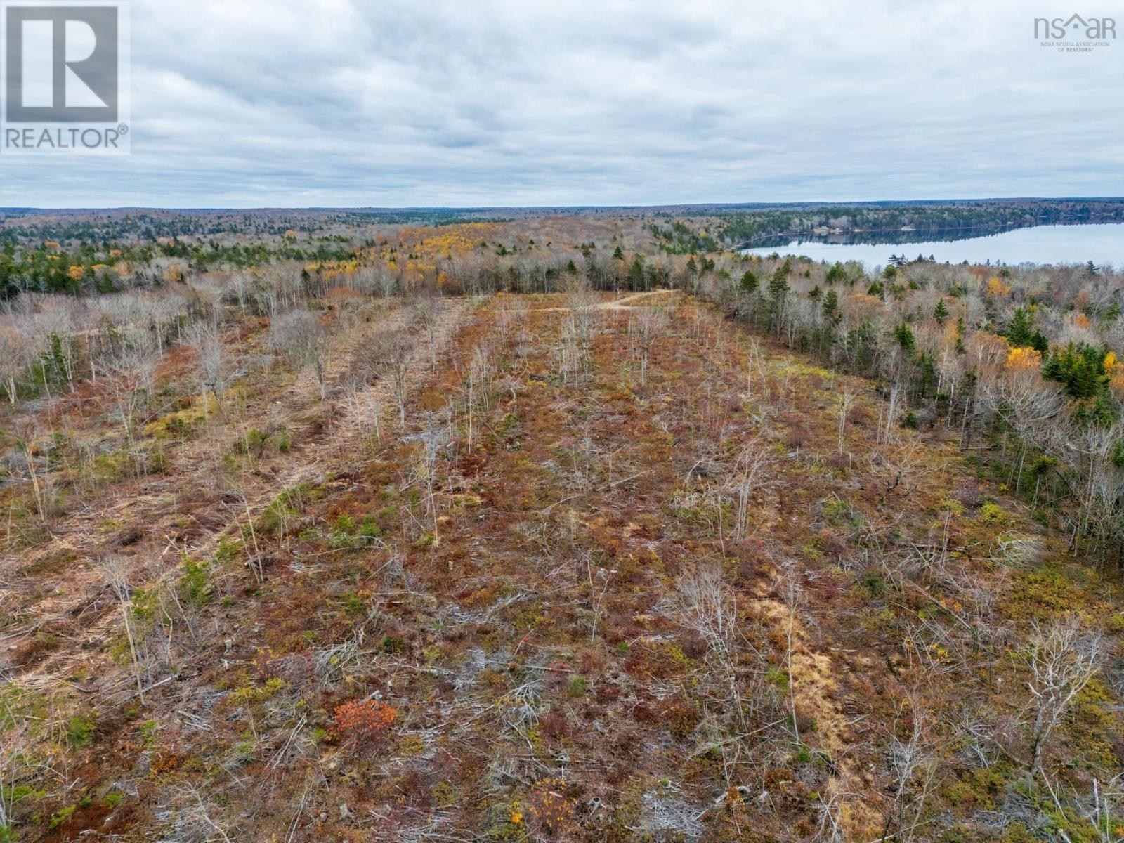 Lot 10 Perfect Road, Bangor, Nova Scotia  B0W 2L0 - Photo 12 - 202527220