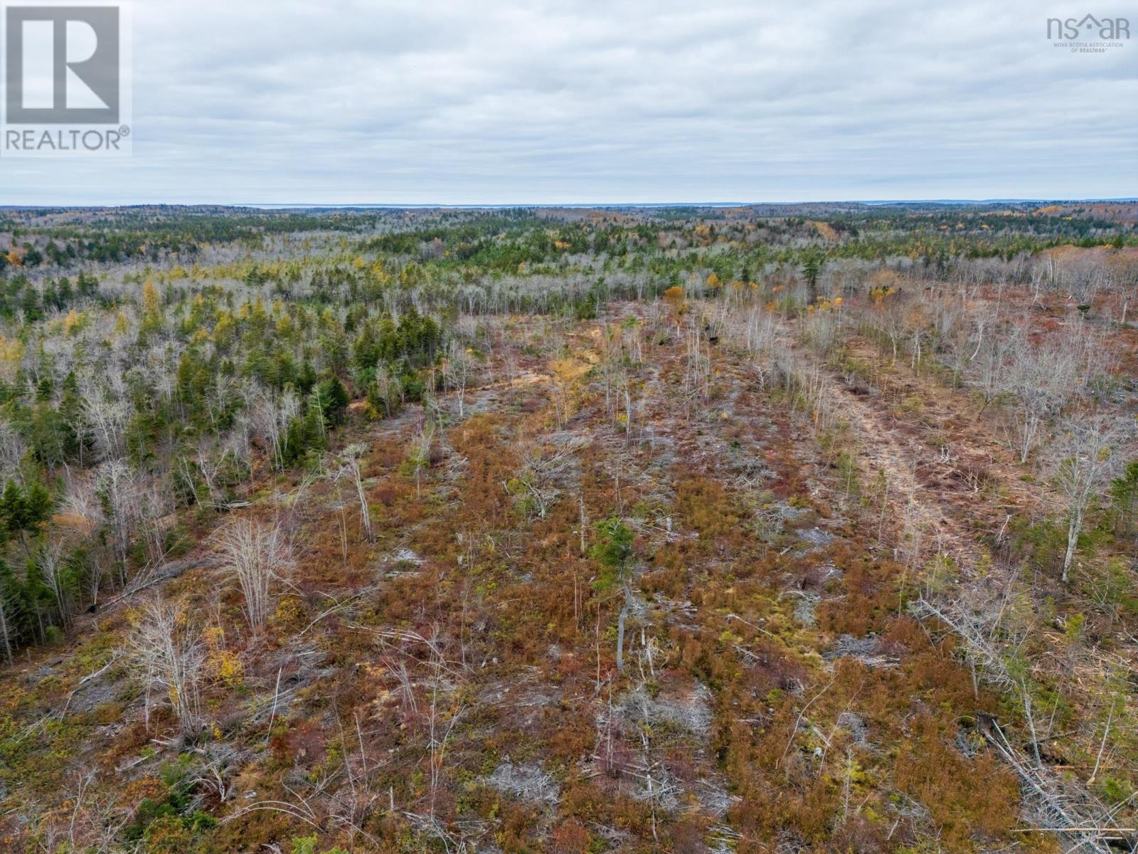 Lot 10 Perfect Road, Bangor, Nova Scotia  B0W 2L0 - Photo 13 - 202527220