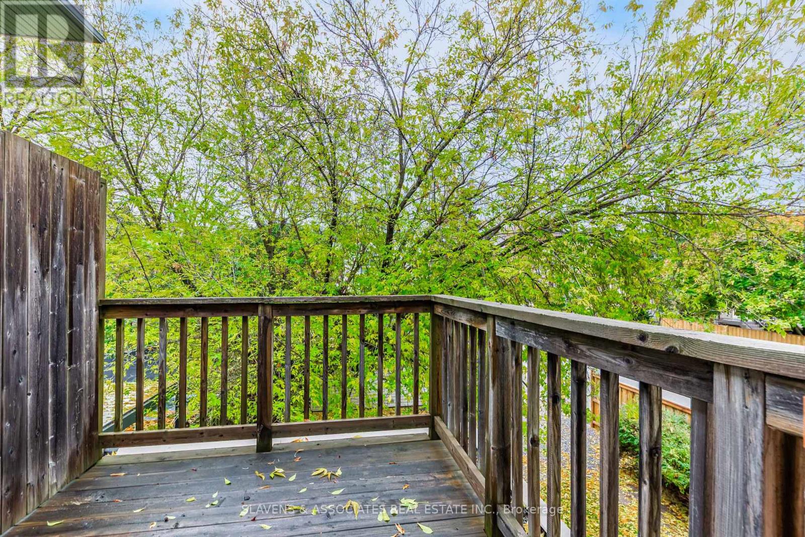 509 Deloraine Avenue, Toronto, Ontario  M5M 2C1 - Photo 31 - C12506938