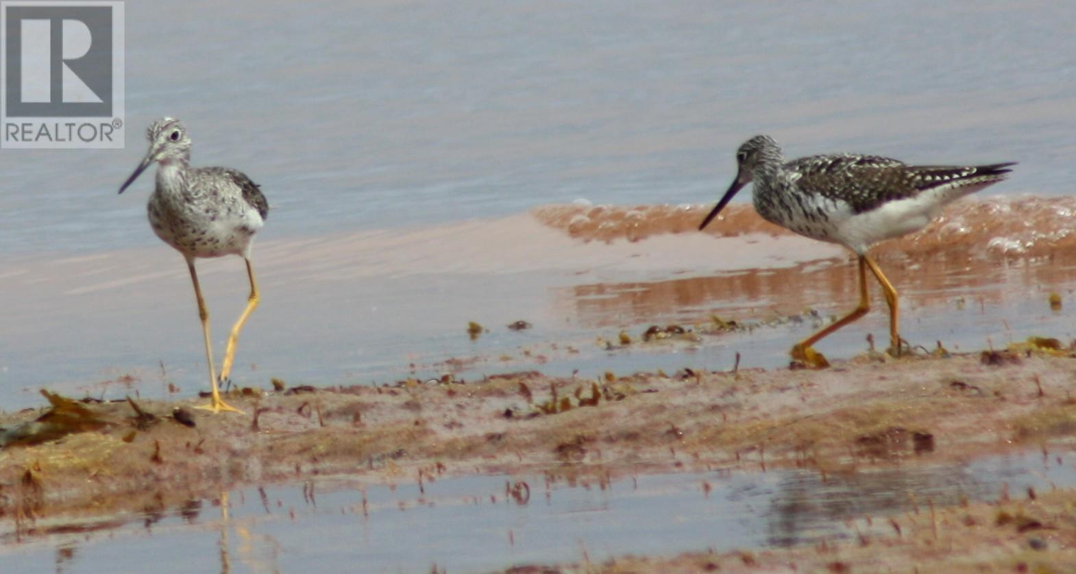 7373 Route 11, Cap Egmont, Prince Edward Island  C0B 2E0 - Photo 44 - 202522706