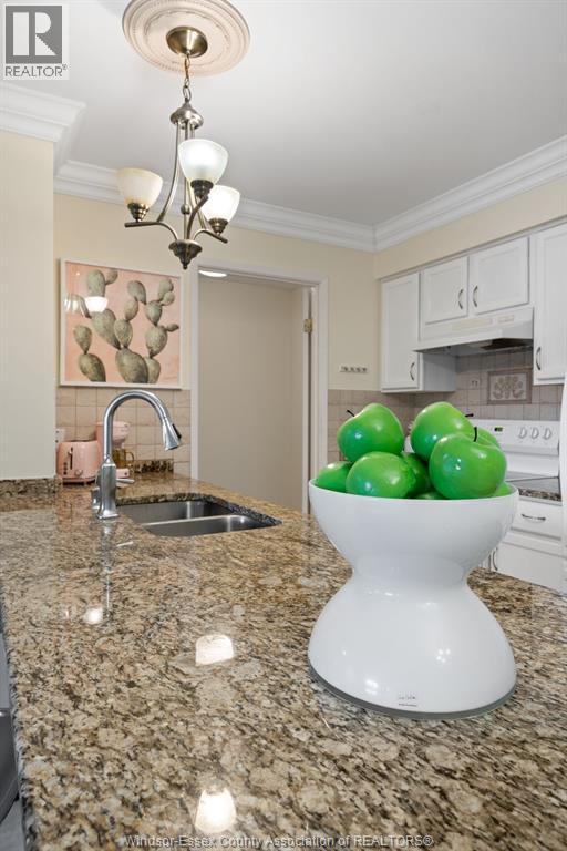 5000 Wyandotte Street East Unit# 309, Windsor, Ontario  N8Y 5B8 - Photo 15 - 25027937