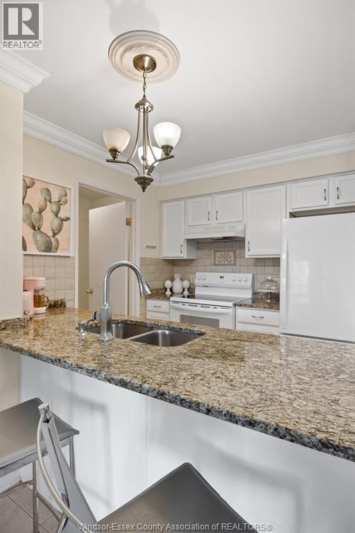 5000 Wyandotte Street East Unit# 309, Windsor, Ontario N8Y 5B8 - Photo 8 - 25027936