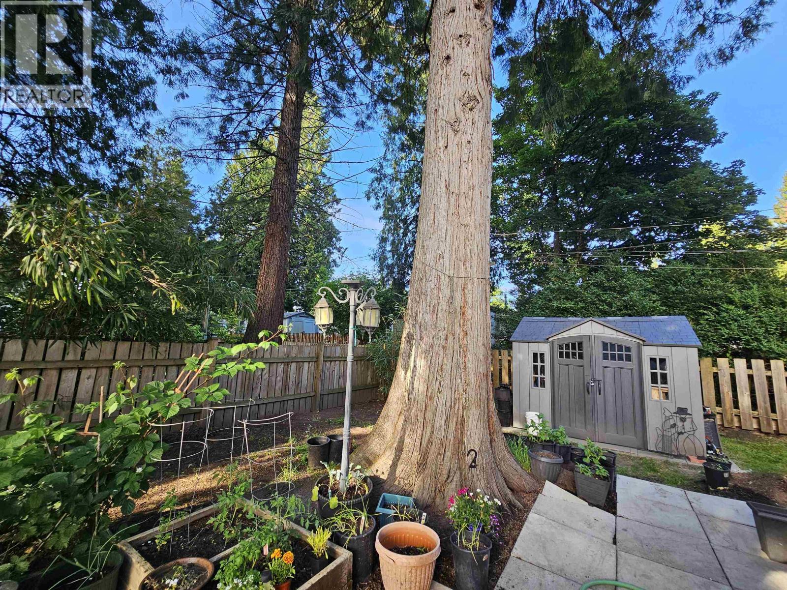 3 21091 Lougheed Highway, Maple Ridge, British Columbia  V2X 2R2 - Photo 27 - R3064324