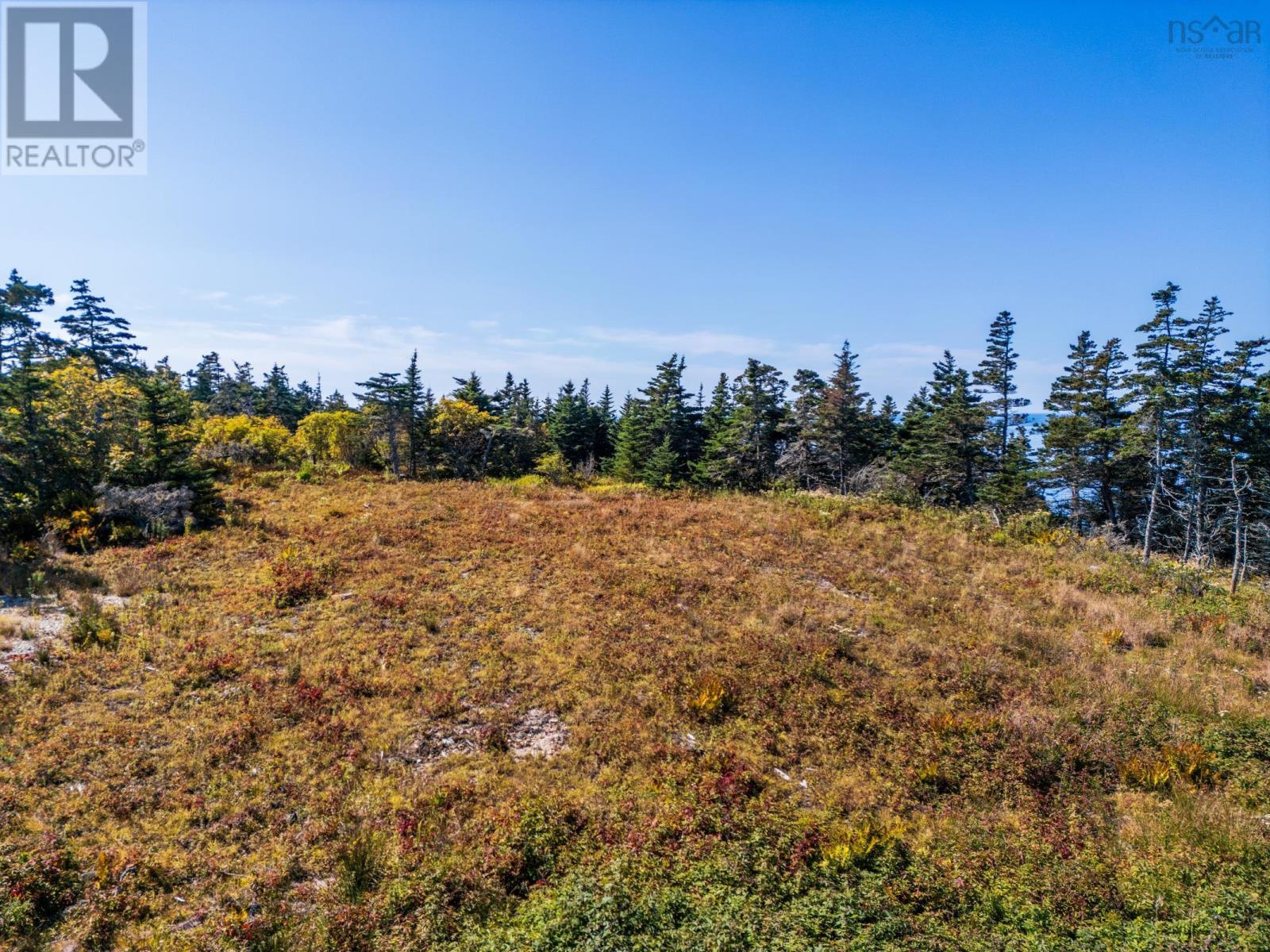 Lot Deveau Shore Road, St. Alphonse, Nova Scotia  B0W 2J0 - Photo 19 - 202523301