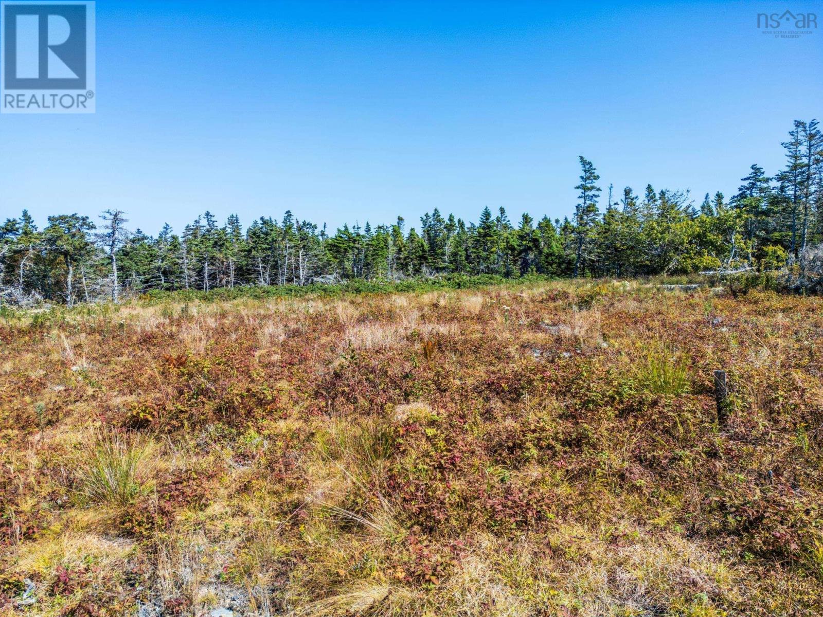 Lot Deveau Shore Road, St. Alphonse, Nova Scotia  B0W 2J0 - Photo 17 - 202523301
