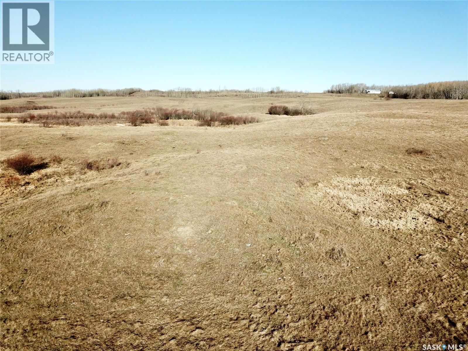 Amien's Pasture Quarter - Nw 22-50-09-W3, Spiritwood Rm No. 496, Saskatchewan  S0J 2G0 - Photo 10 - SK022257