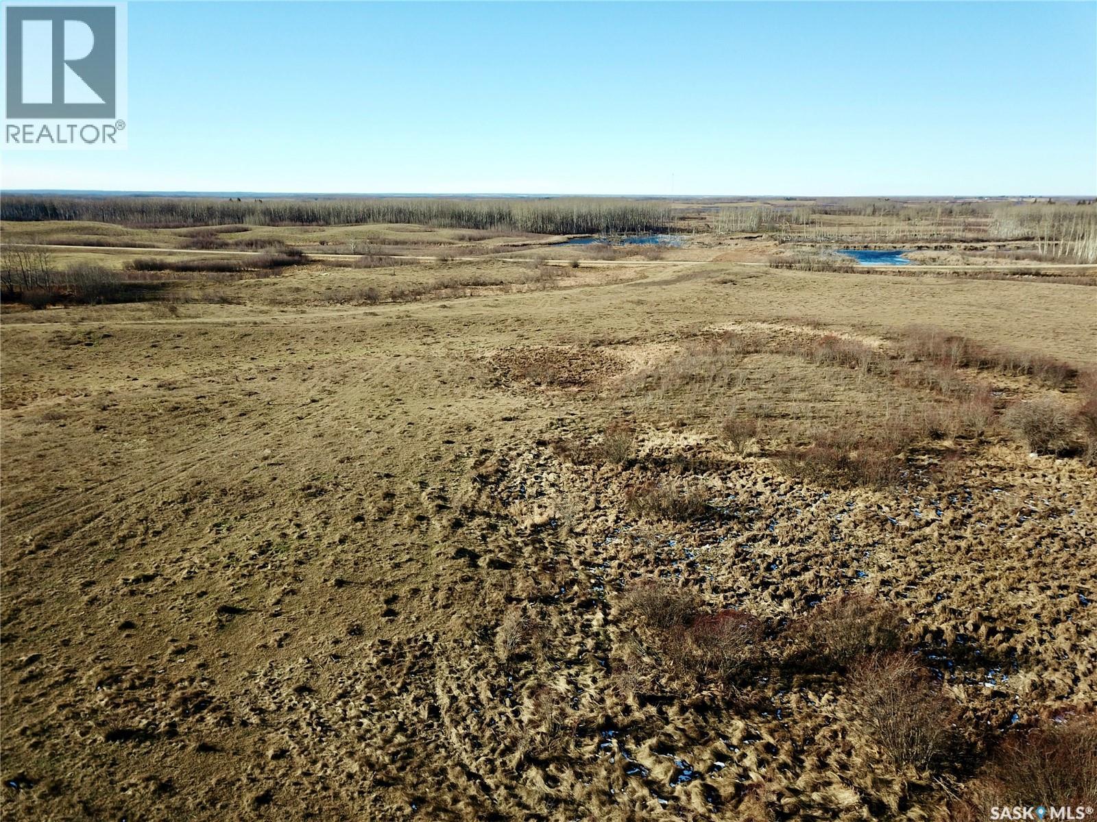 Amien's Pasture Quarter - Nw 22-50-09-W3, Spiritwood Rm No. 496, Saskatchewan  S0J 2G0 - Photo 11 - SK022257