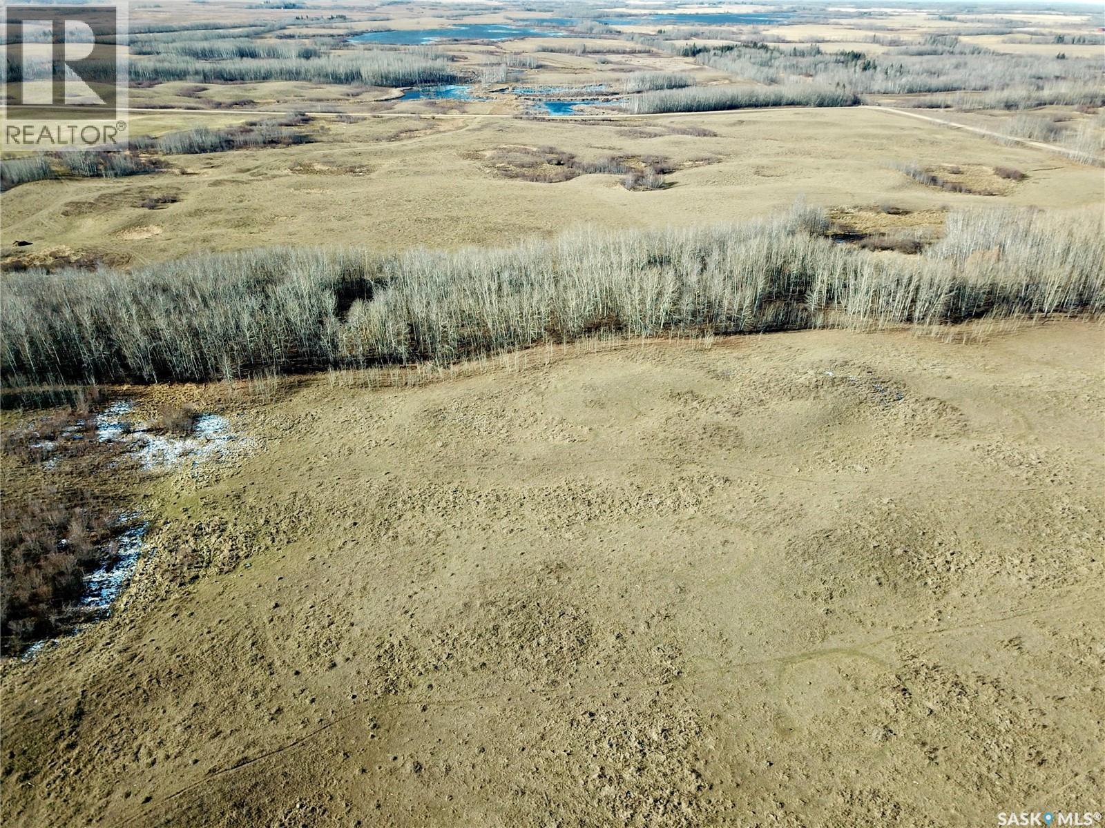 Amien's Pasture Quarter - Nw 22-50-09-W3, Spiritwood Rm No. 496, Saskatchewan  S0J 2G0 - Photo 13 - SK022257