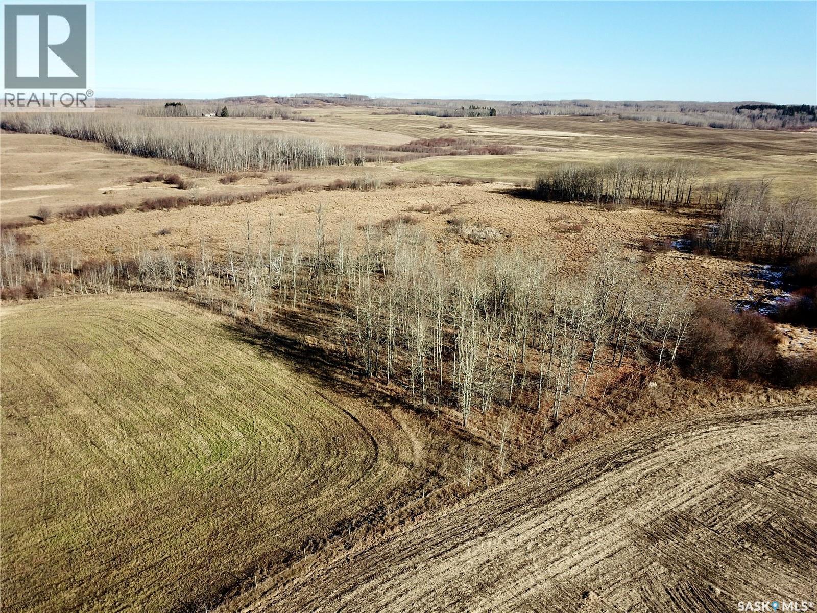 Amien's Pasture Quarter - Nw 22-50-09-W3, Spiritwood Rm No. 496, Saskatchewan  S0J 2G0 - Photo 14 - SK022257