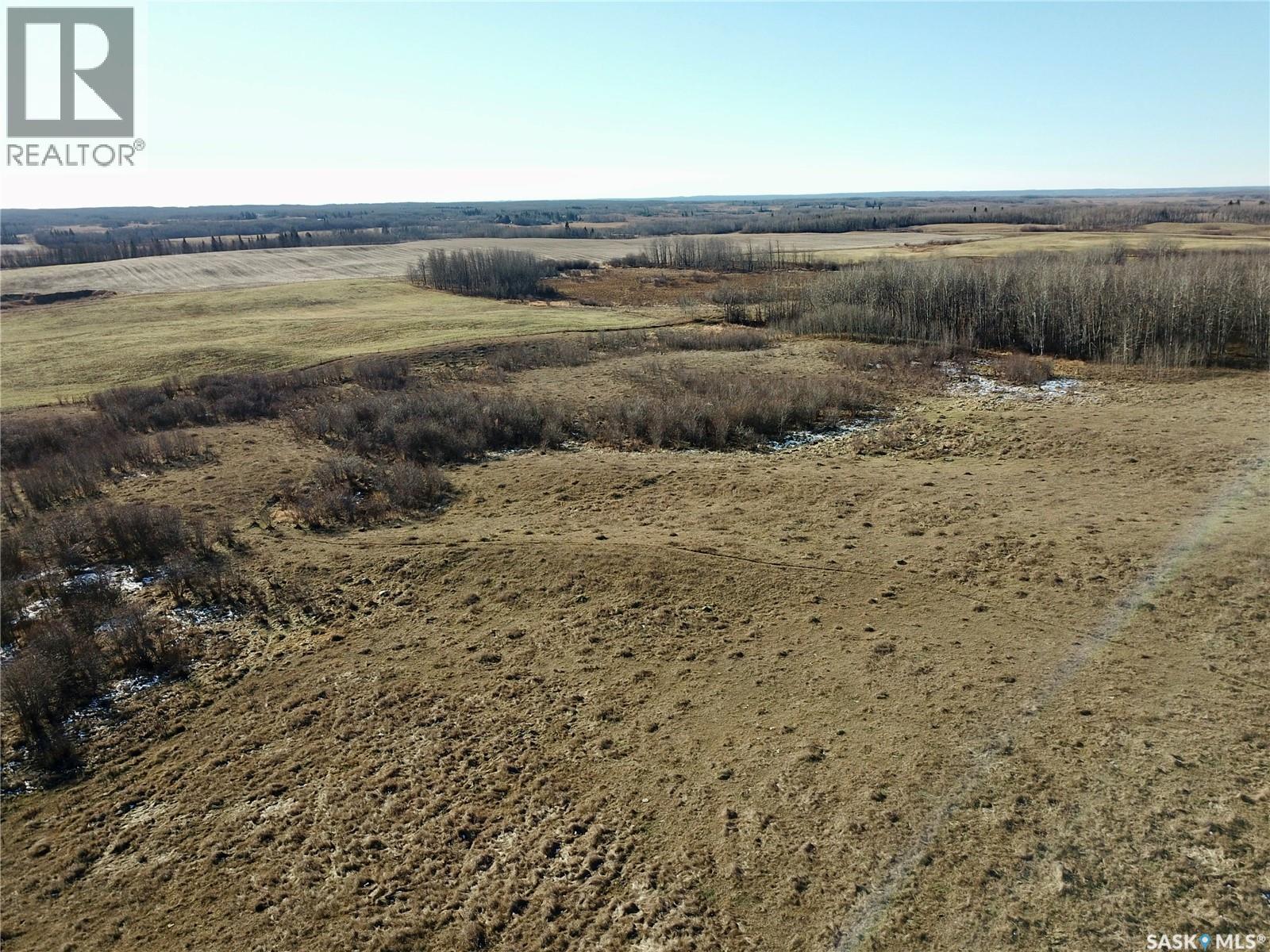 Amien's Pasture Quarter - Nw 22-50-09-W3, Spiritwood Rm No. 496, Saskatchewan  S0J 2G0 - Photo 15 - SK022257