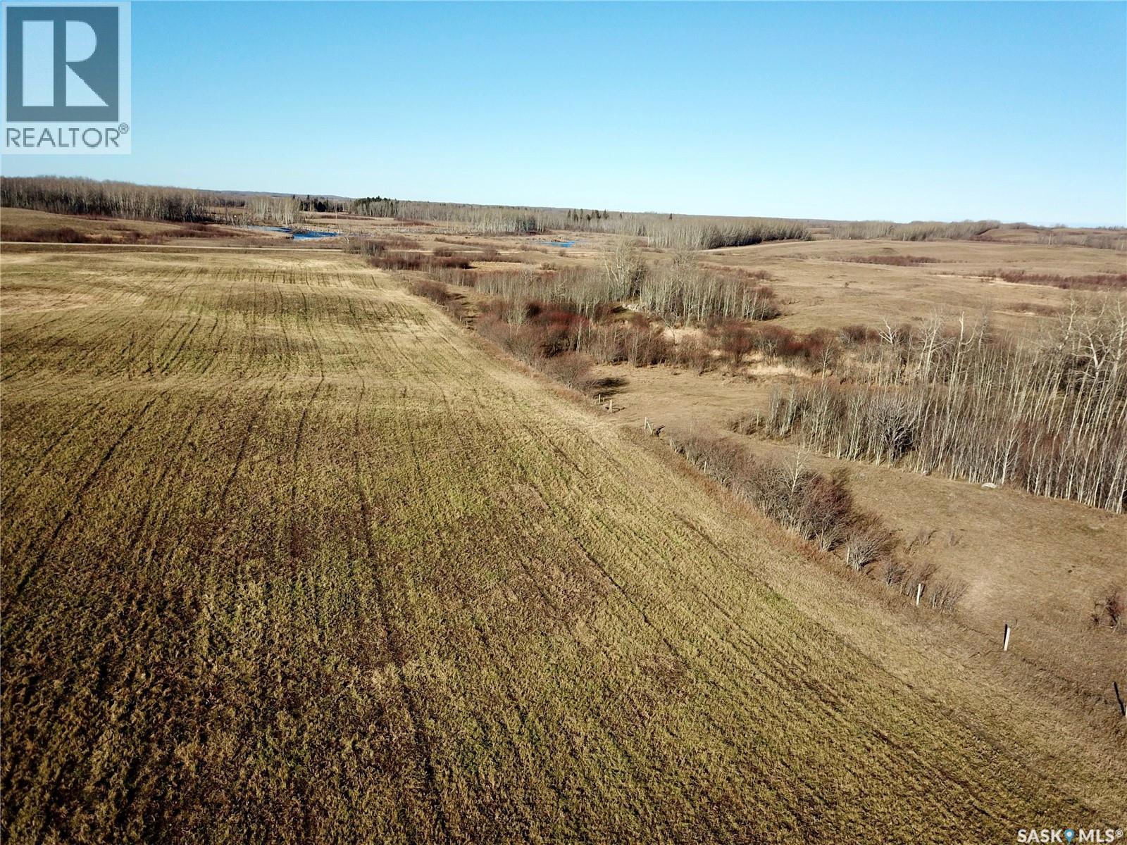 Amien's Pasture Quarter - Nw 22-50-09-W3, Spiritwood Rm No. 496, Saskatchewan  S0J 2G0 - Photo 17 - SK022257