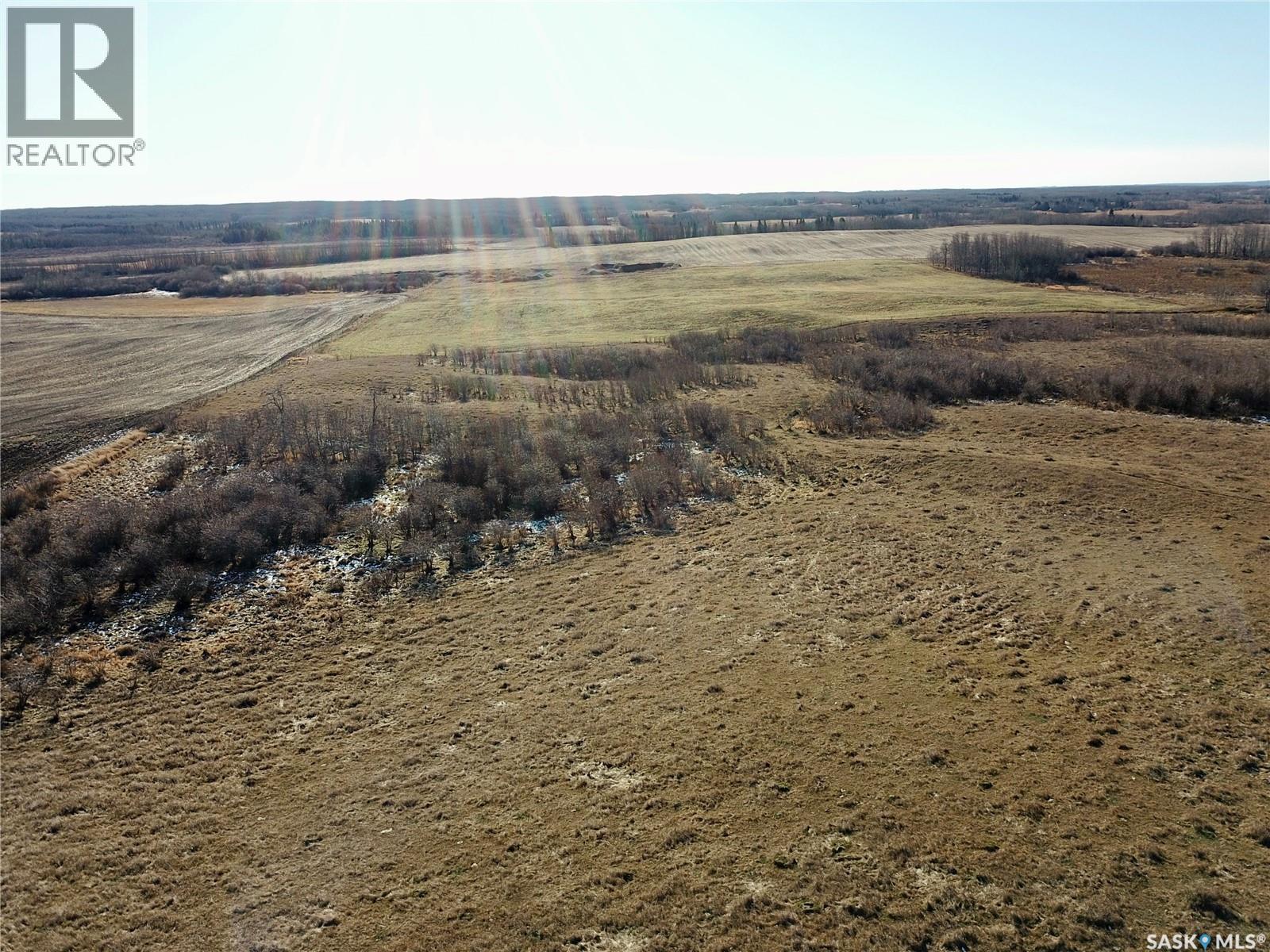 Amien's Pasture Quarter - Nw 22-50-09-W3, Spiritwood Rm No. 496, Saskatchewan  S0J 2G0 - Photo 18 - SK022257