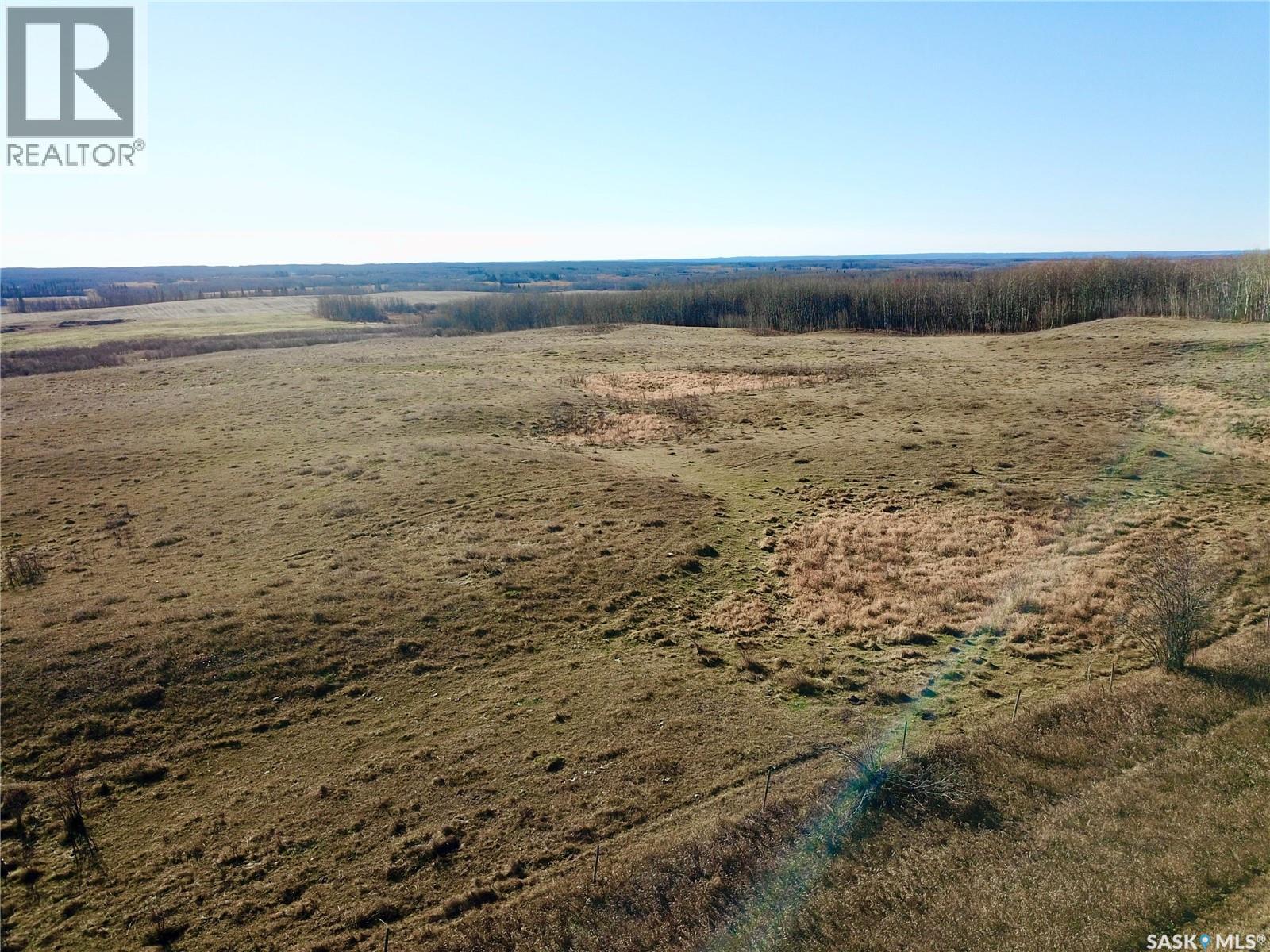 Amien's Pasture Quarter - Nw 22-50-09-W3, Spiritwood Rm No. 496, Saskatchewan  S0J 2G0 - Photo 20 - SK022257