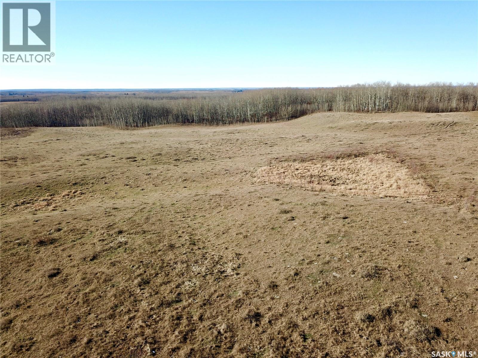 Amien's Pasture Quarter - Nw 22-50-09-W3, Spiritwood Rm No. 496, Saskatchewan  S0J 2G0 - Photo 22 - SK022257