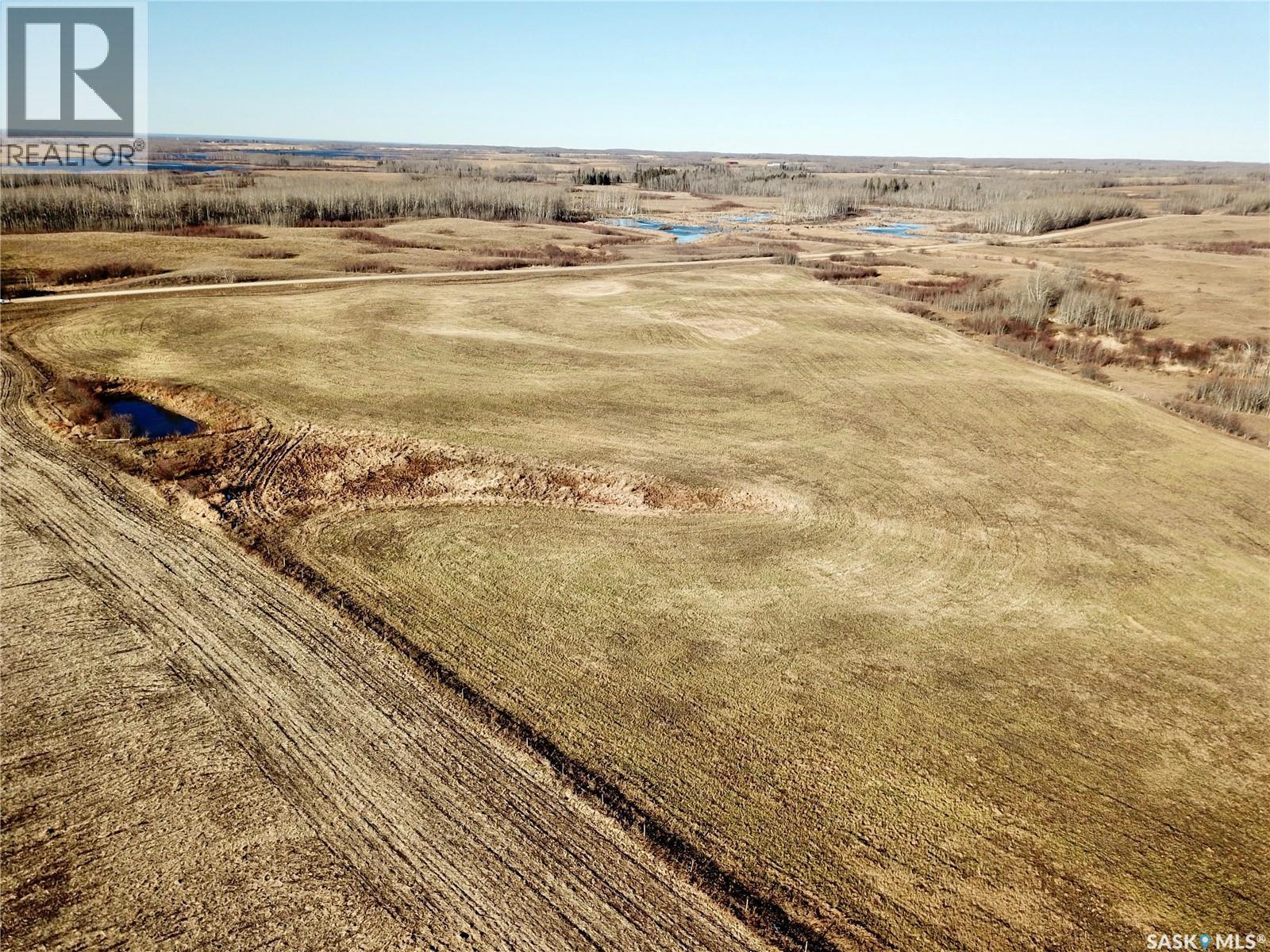 Amien's Pasture Quarter - Nw 22-50-09-W3, Spiritwood Rm No. 496, Saskatchewan  S0J 2G0 - Photo 25 - SK022257