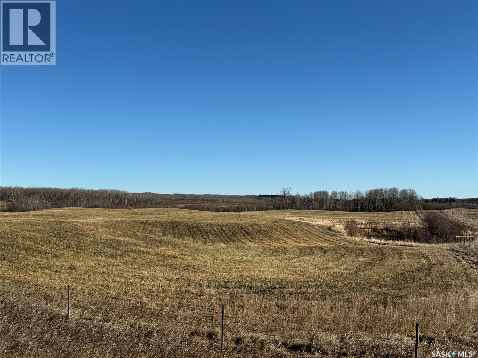 Amien's Pasture Quarter - Nw 22-50-09-W3, Spiritwood Rm No. 496, Saskatchewan  S0J 2G0 - Photo 28 - SK022257