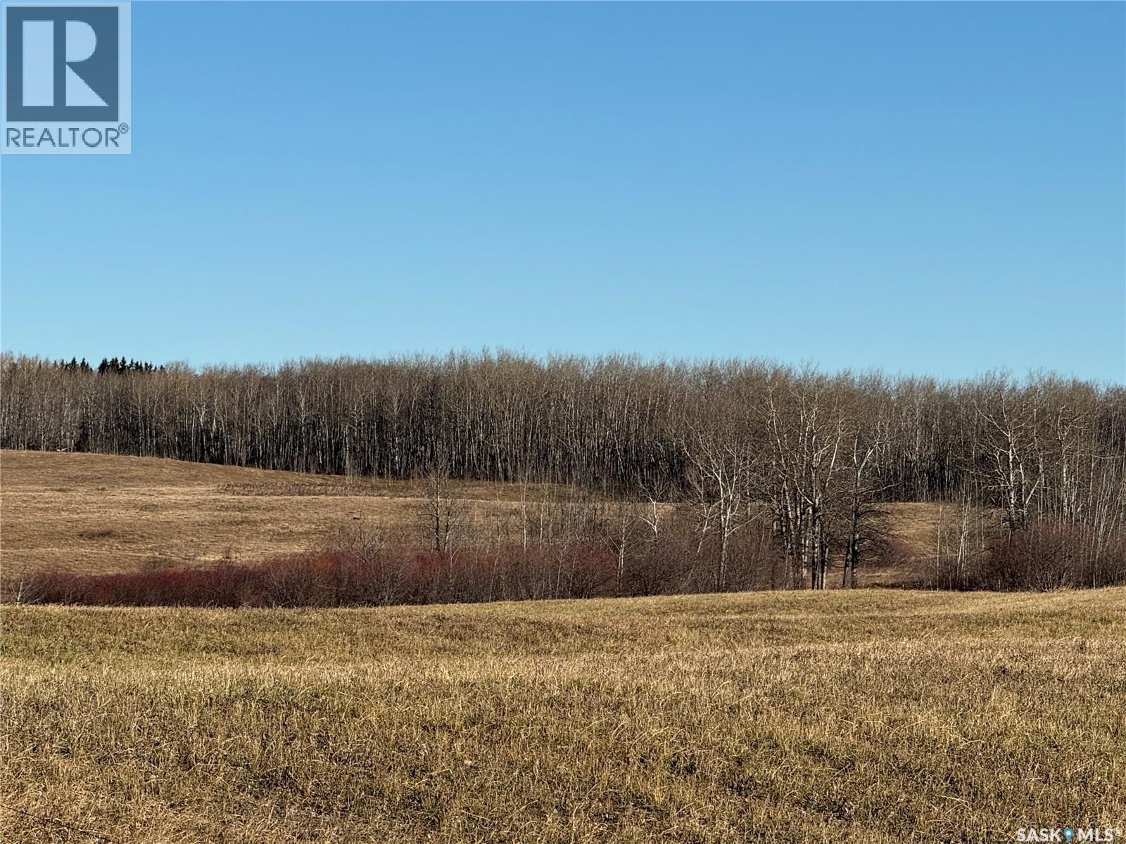 Amien's Pasture Quarter - Nw 22-50-09-W3, Spiritwood Rm No. 496, Saskatchewan  S0J 2G0 - Photo 30 - SK022257