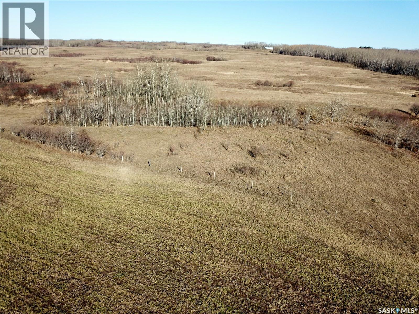 Amien's Pasture Quarter - Nw 22-50-09-W3, Spiritwood Rm No. 496, Saskatchewan  S0J 2G0 - Photo 5 - SK022257