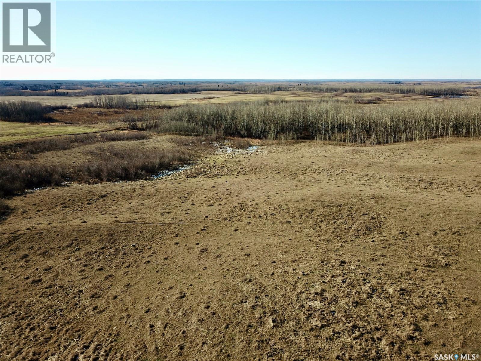 Amien's Pasture Quarter - Nw 22-50-09-W3, Spiritwood Rm No. 496, Saskatchewan  S0J 2G0 - Photo 7 - SK022257