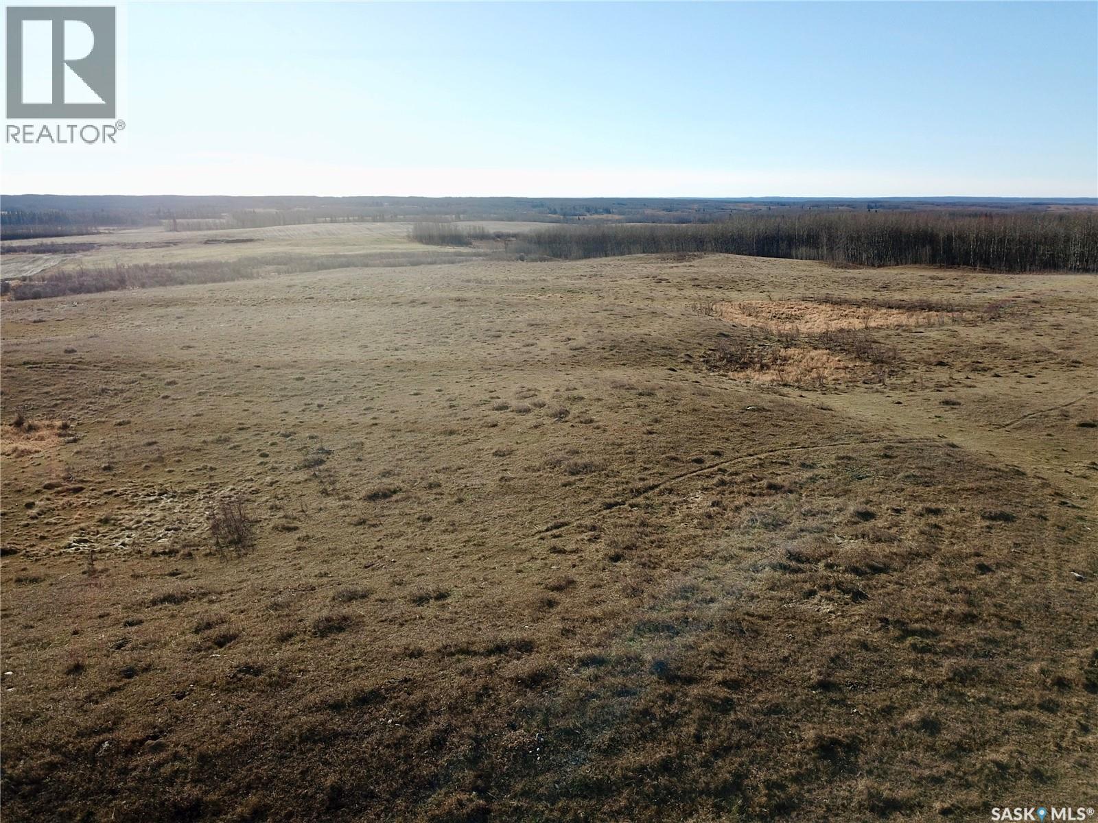 Amien's Pasture Quarter - Nw 22-50-09-W3, Spiritwood Rm No. 496, Saskatchewan  S0J 2G0 - Photo 9 - SK022257