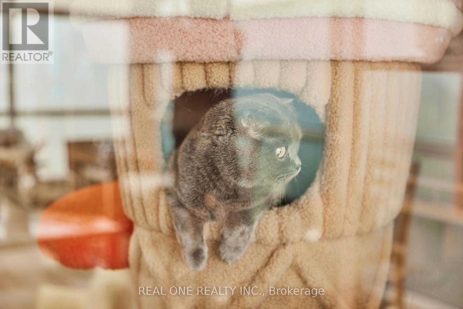 1 - 12285 Yonge Street, Richmond Hill, Ontario  L4E 3M7 - Photo 6 - N12507154