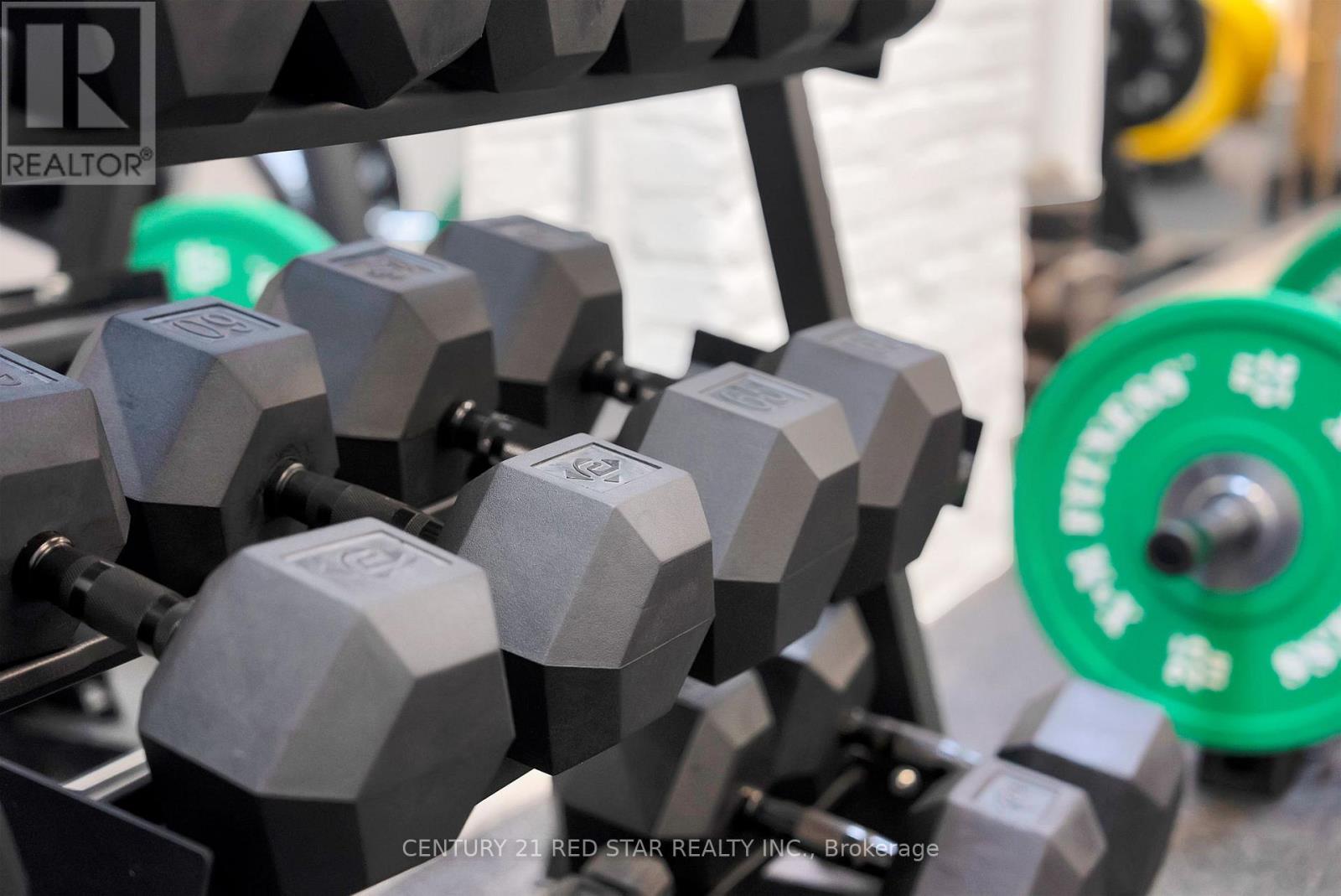 11 - 58 Wade Avenue, Toronto, Ontario  M6H 1P5 - Photo 30 - W12507114