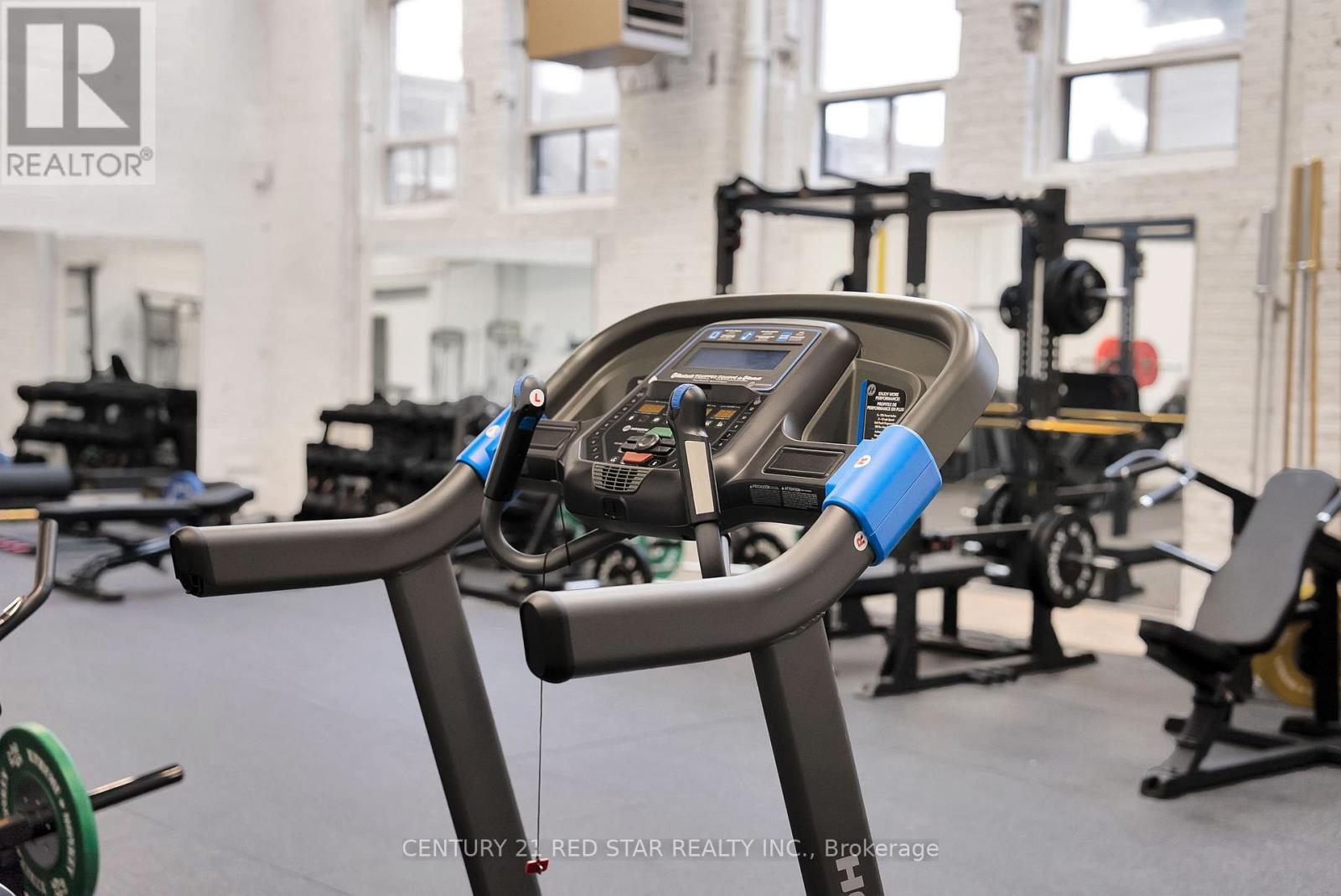 11 - 58 Wade Avenue, Toronto, Ontario  M6H 1P5 - Photo 38 - W12507114