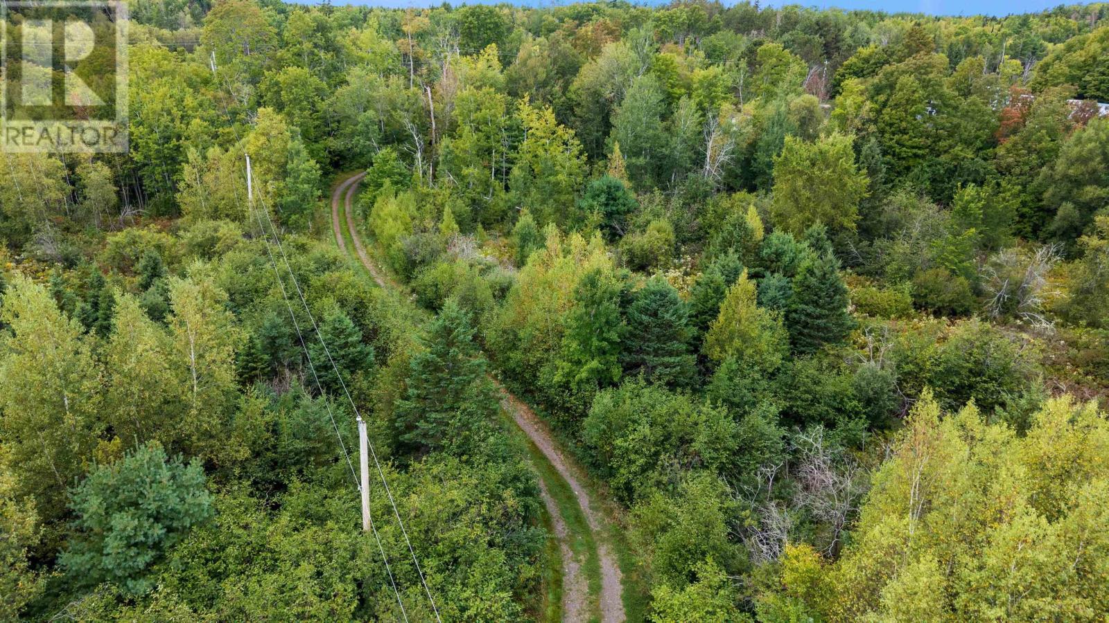 8208/8268 Highway 311, Balfron, Nova Scotia  B0K 1V0 - Photo 30 - 202525620