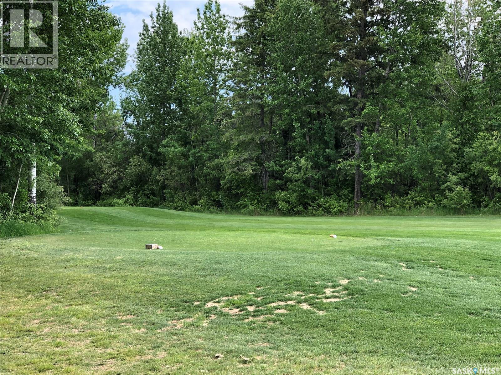 1 Northern Meadows Crescent, Goodsoil, Saskatchewan  S0M 1A0 - Photo 5 - SK022369