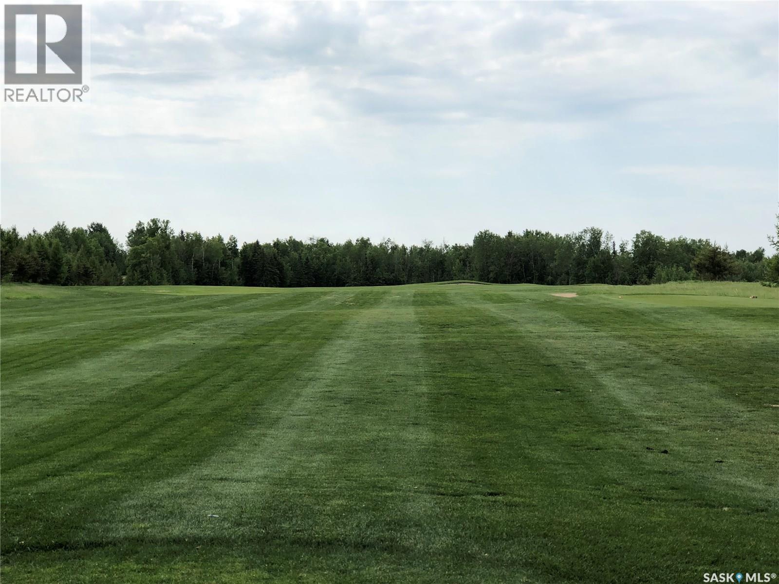 1 Northern Meadows Crescent, Goodsoil, Saskatchewan  S0M 1A0 - Photo 6 - SK022369