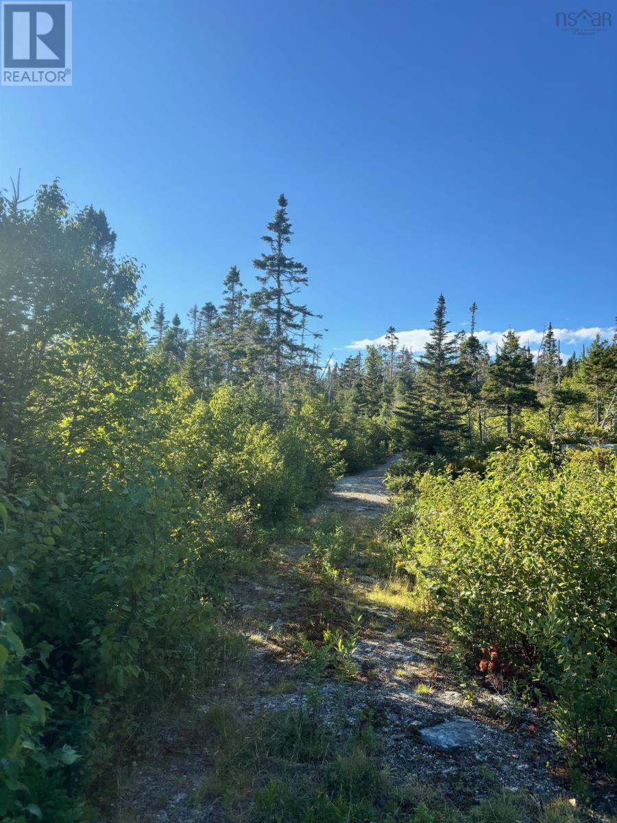 Lot 2 Highway 7, Port Dufferin, Nova Scotia  B0J 2R0 - Photo 14 - 202523230
