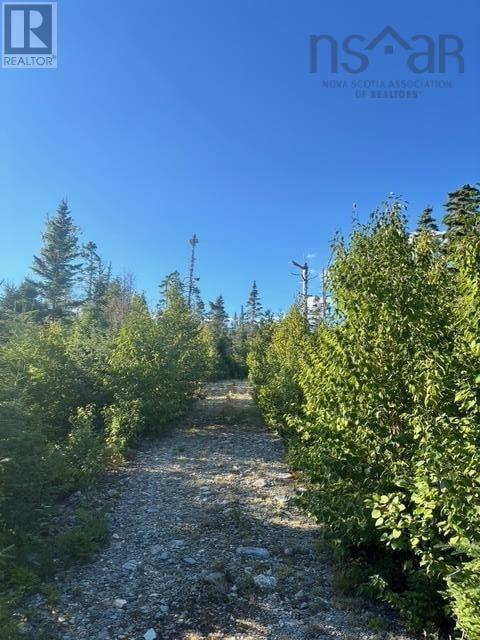 Lot 2 Highway 7, Port Dufferin, Nova Scotia  B0J 2R0 - Photo 24 - 202523230