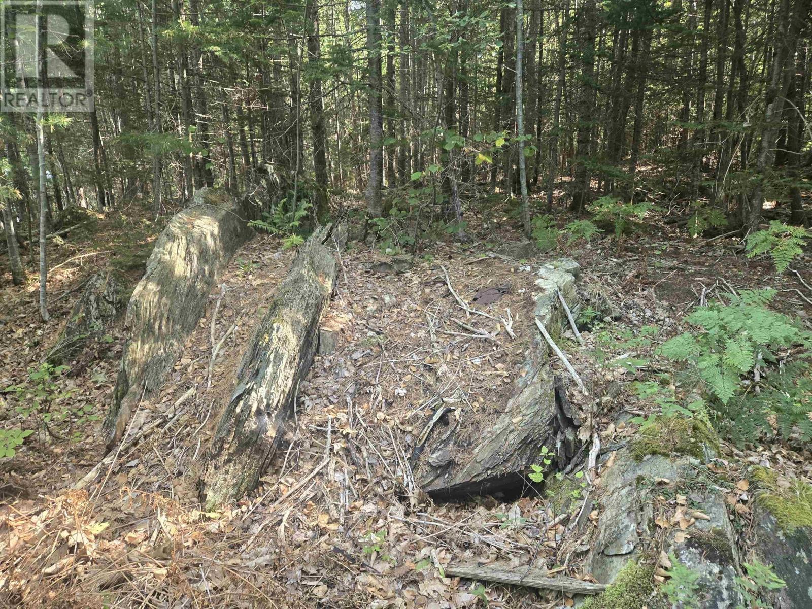 Lot Northfield Road, Upper Northfield, Nova Scotia  B0R 1E0 - Photo 11 - 202522385