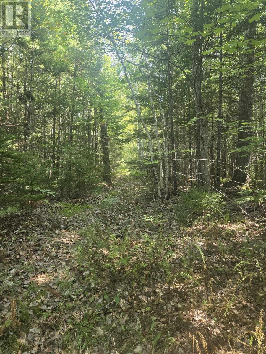 Lot Northfield Road, Upper Northfield, Nova Scotia  B0R 1E0 - Photo 12 - 202522385