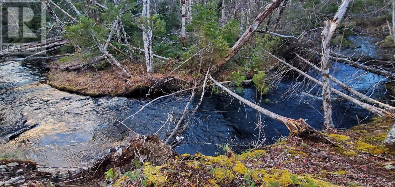 0 Port Morien Drive, Port Morien, Nova Scotia  B1B 1P1 - Photo 9 - 202522553