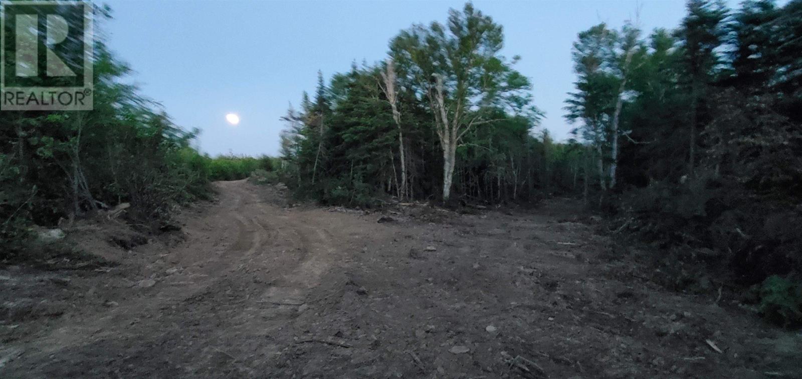 0 Port Morien Drive, Port Morien, Nova Scotia  B1B 1P1 - Photo 4 - 202522553